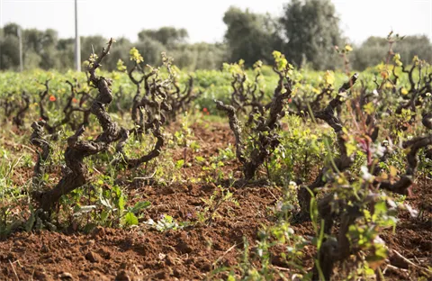 0edecf49271190f359321b086425fb4813e775e3