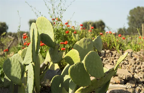 8d2f5d1a28ee63f66e6a373098cd3ca0d93b10e8