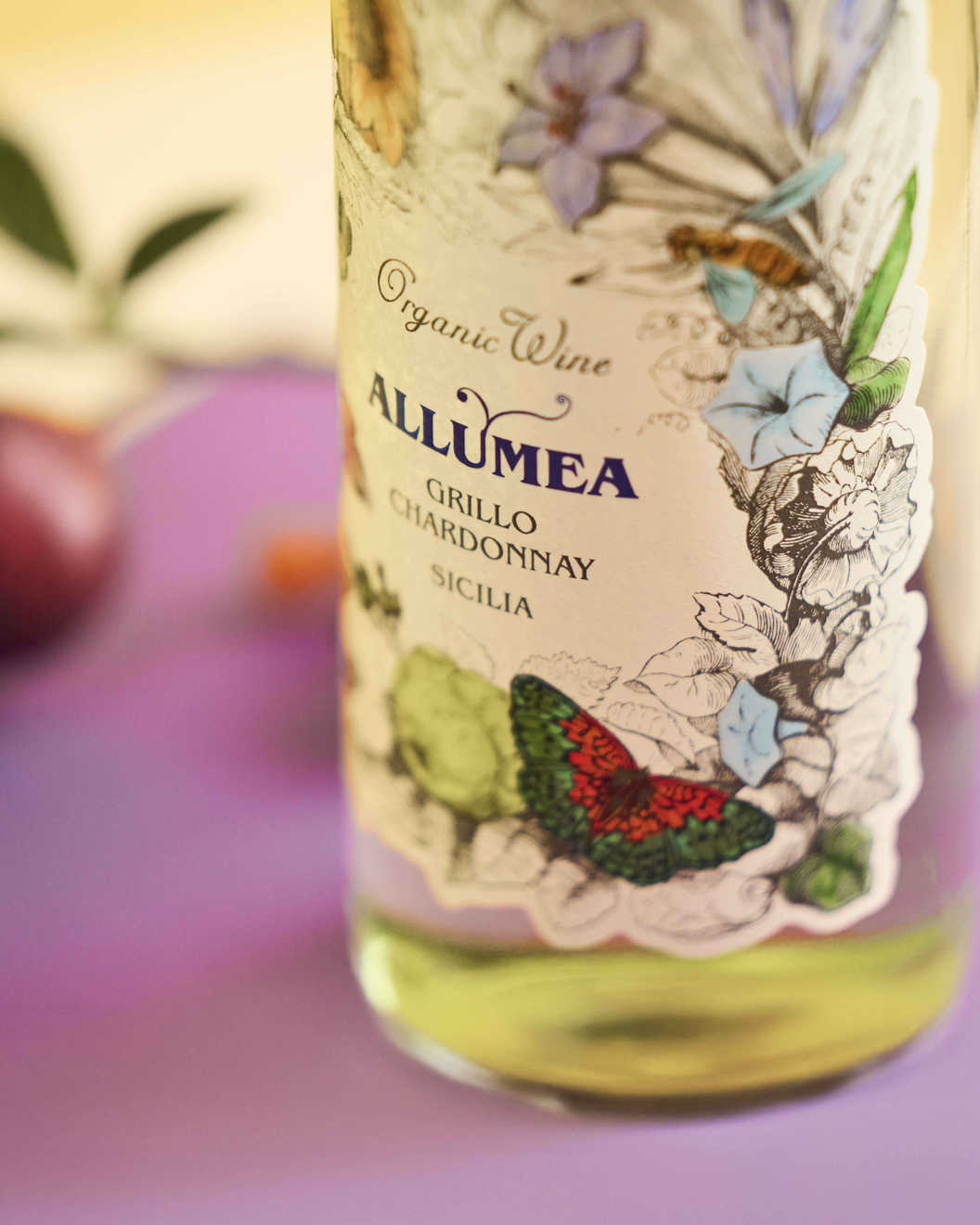 Orion_wines_0061 copia