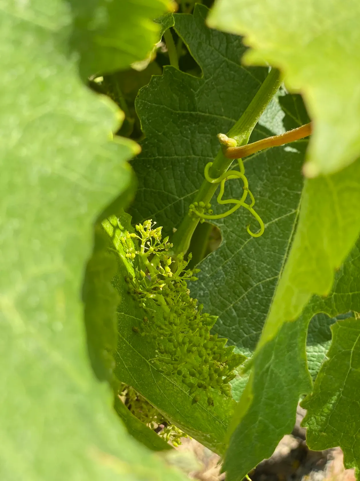 cec51c470fab37187285dc7a3509744f3cf29427