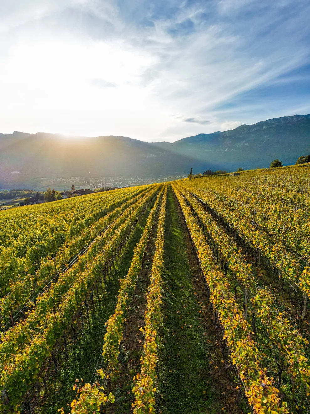 f82c4503fc11d03871db3a89e18ee36731f3ee6c